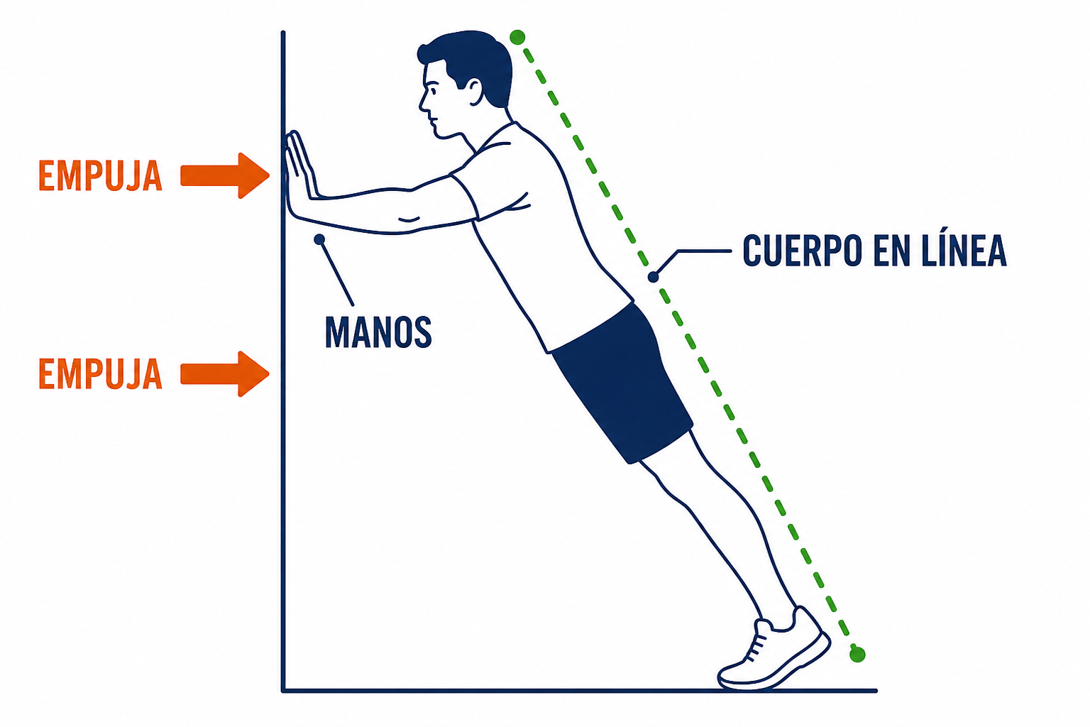 Flexión en la pared: EMPUJA con las palmas, cuerpo en una línea