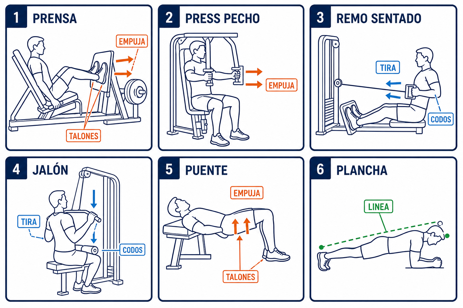 Seis estaciones: prensa, press de pecho, remo sentado, jalón, puente y plancha, con flechas EMPUJA y TIRA
