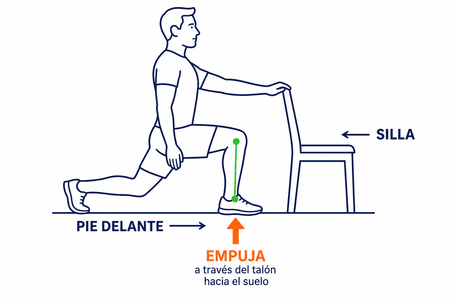 Zancada estática: EMPUJA el talón de delante, rodilla sobre el pie, una mano en la silla